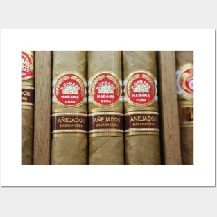 Cuban Cigars Posters and Art